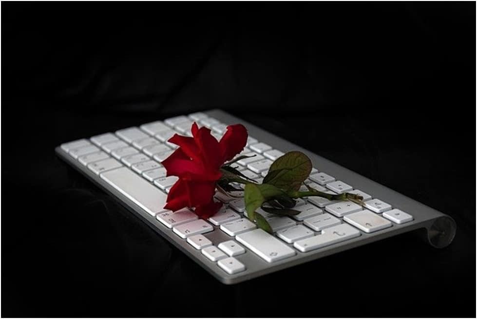 Red rose on top of keyboard with black background
