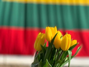 Navigating New Opportunities: Connect with Lithuania Using a Virtual Number